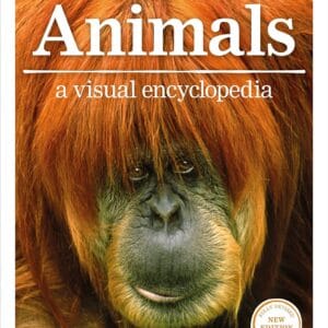 Animals: A Visual Encyclopedia
