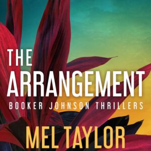The Arrangement (Booker Johnson Thrillers, 2)