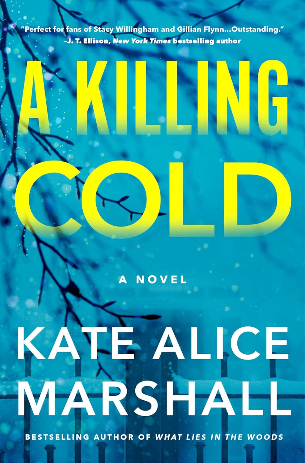 A Killing Cold: A Novel
