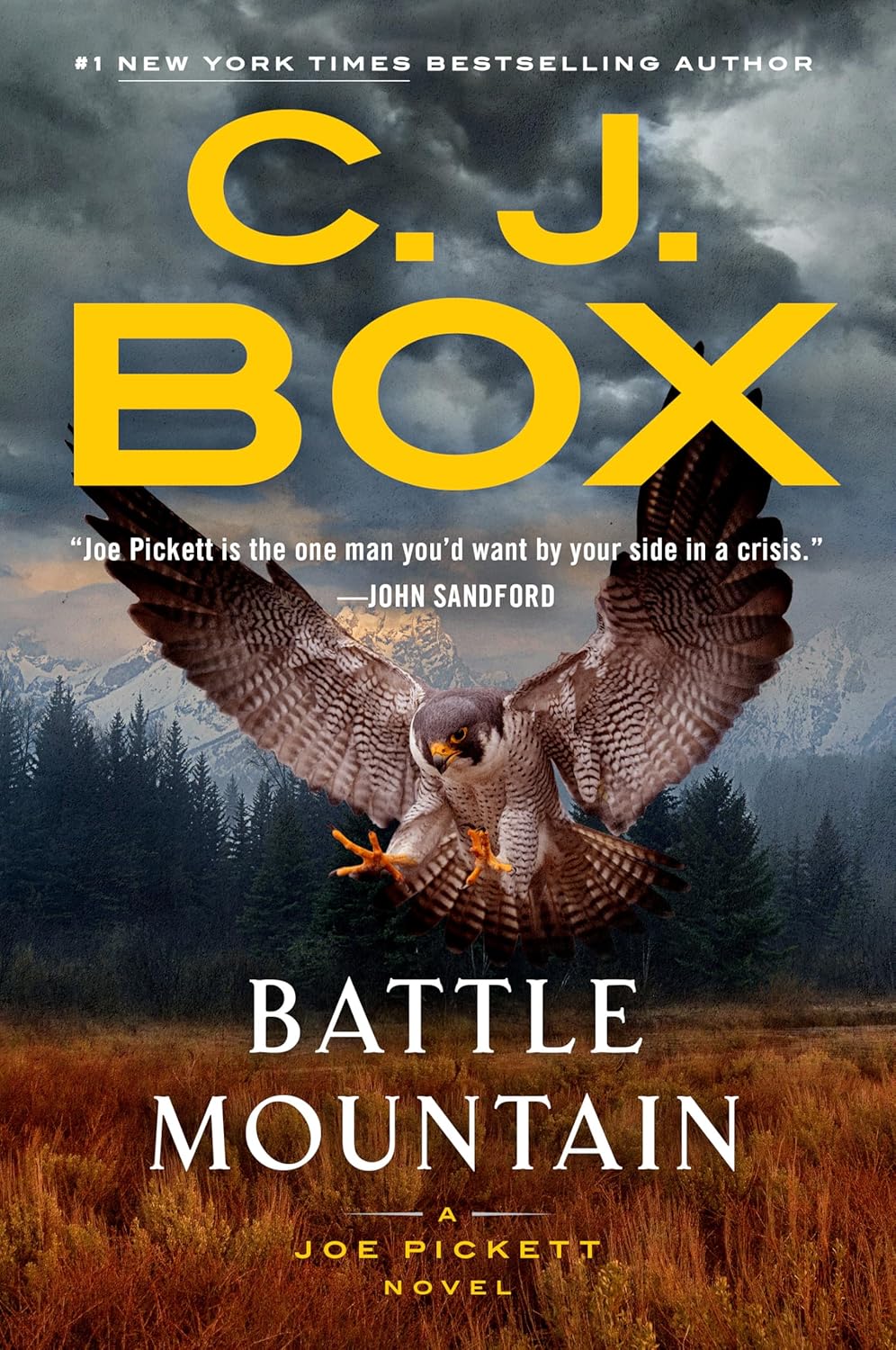 Battle Mountain (A Joe Pickett Novel)