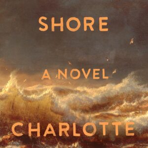 Wild Dark Shore: A Novel