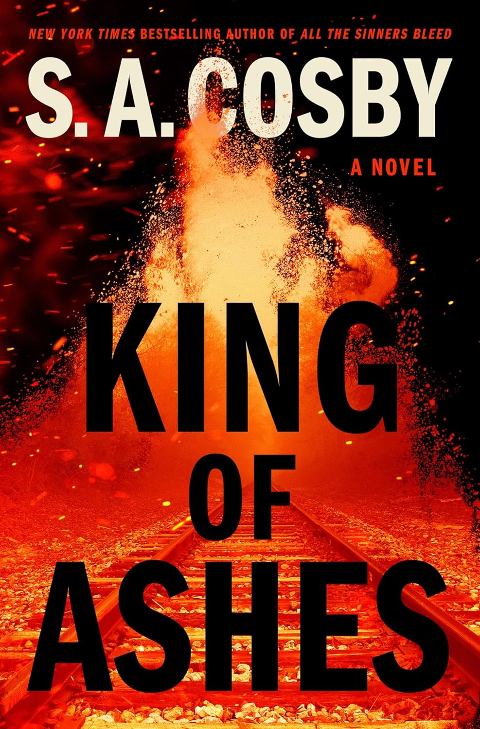 King of Ashes: A Novel